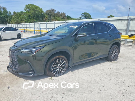 Lexus NX 2024 - Image 1 of 14