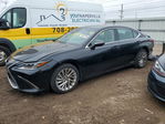 Lexus ES 2019