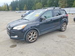 Ford Escape 2014