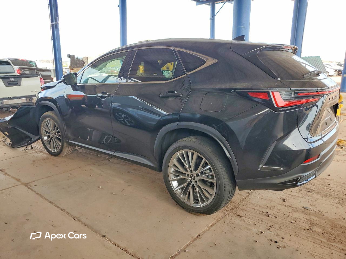 Lexus NX 2025