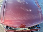 Honda Accord 2010