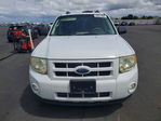 Ford Escape 2009