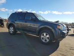 Ford Escape 2009