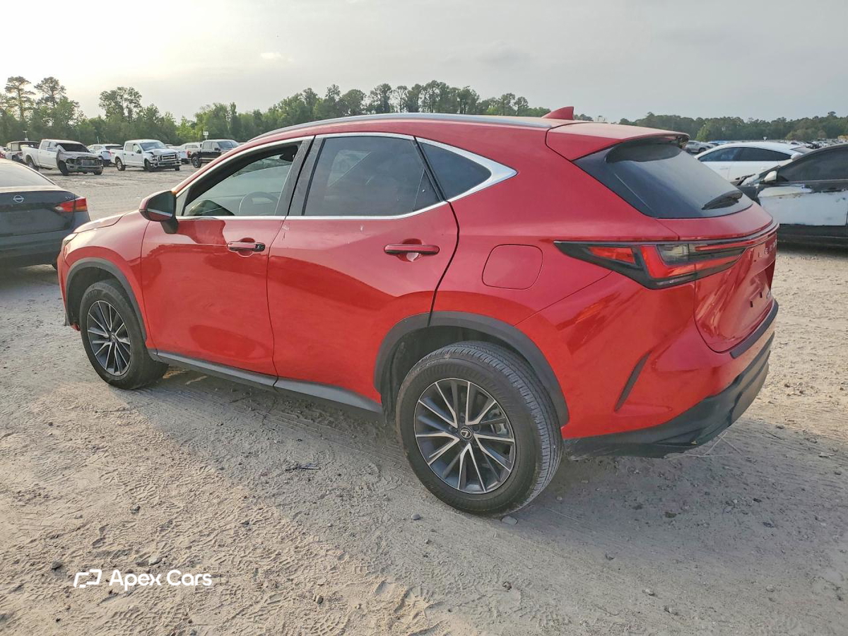 Lexus NX 2024