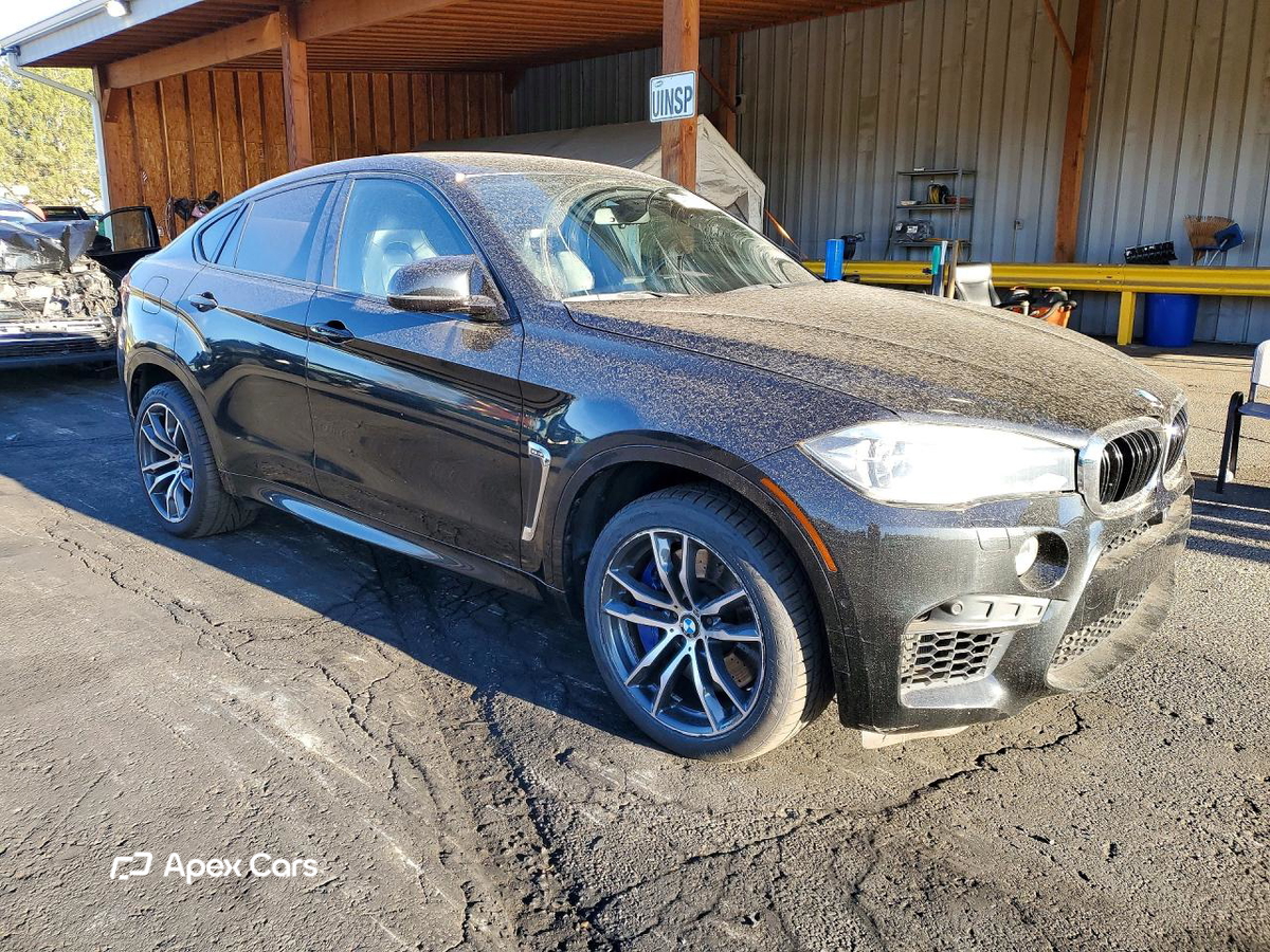 BMW X6 2015