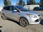 Ford Escape 2015
