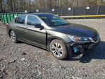 Honda Accord 2013