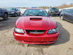Ford Mustang 2004