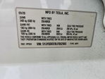 Tesla Model Y 2020