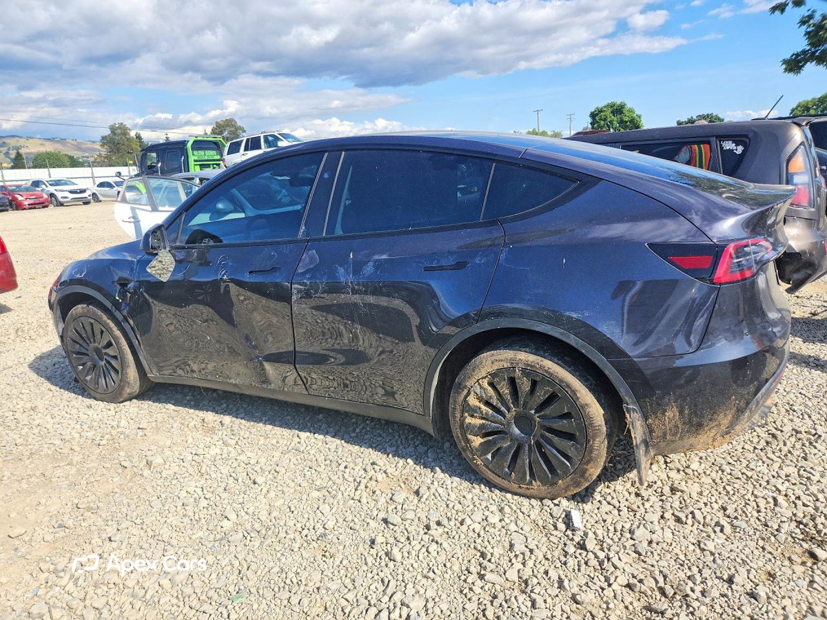 Tesla Model Y 2024