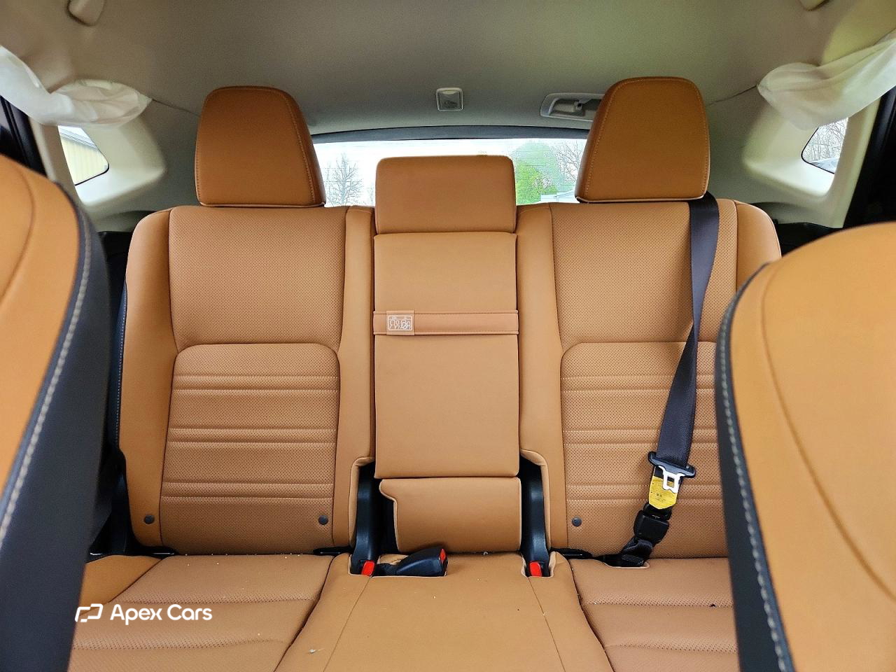 Lexus NX 2019