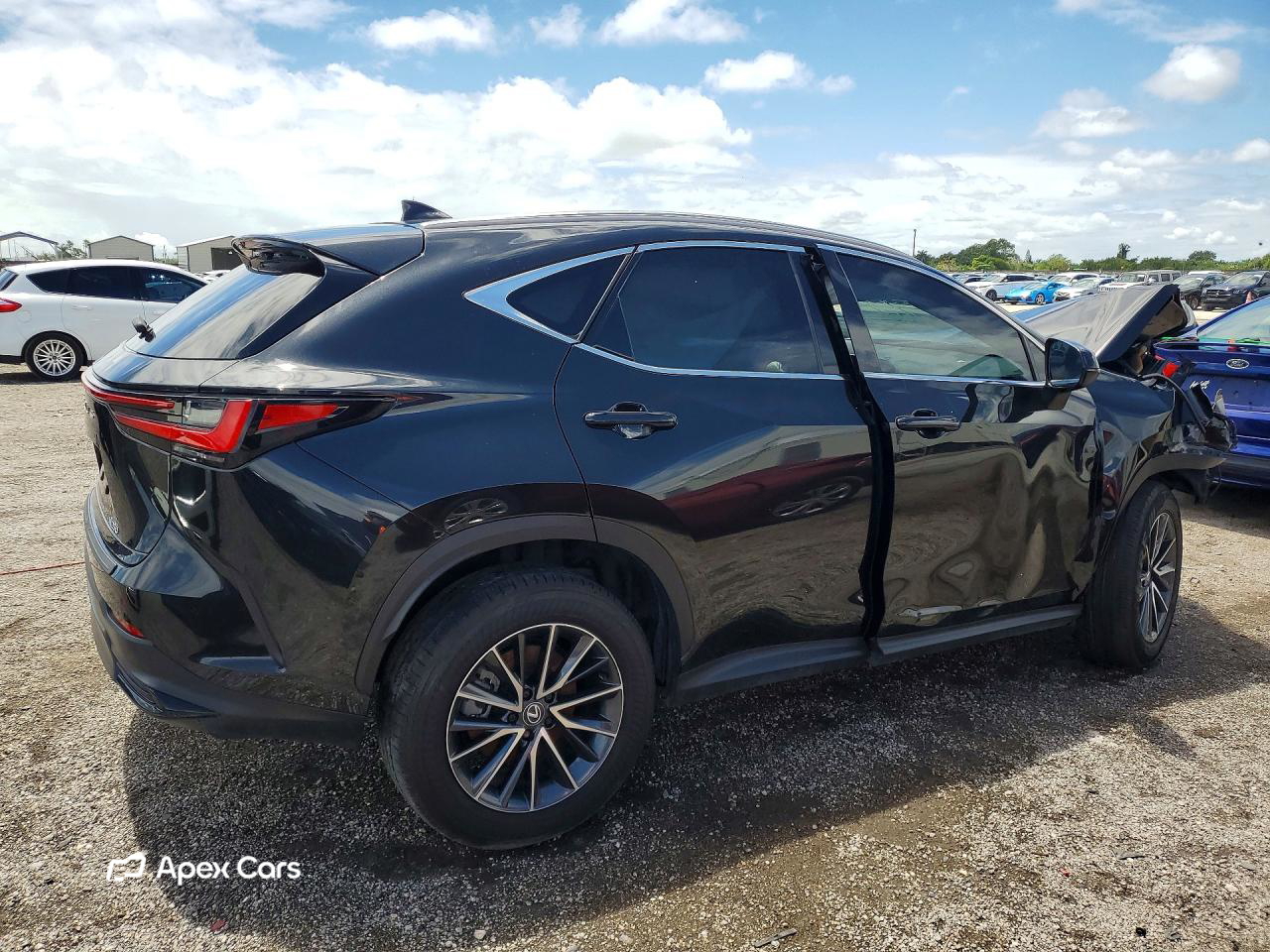 Lexus NX 2024