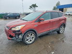 Ford Escape 2014