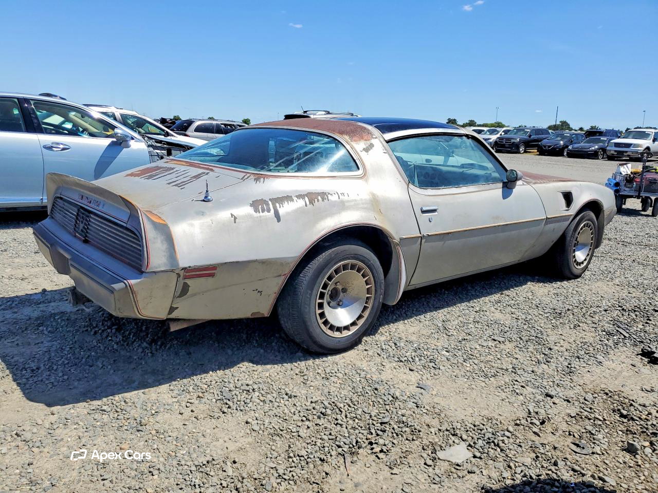 Pontiac Firebird 1979