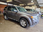 Ford Escape 2009