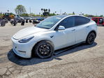 Tesla Model Y 2020