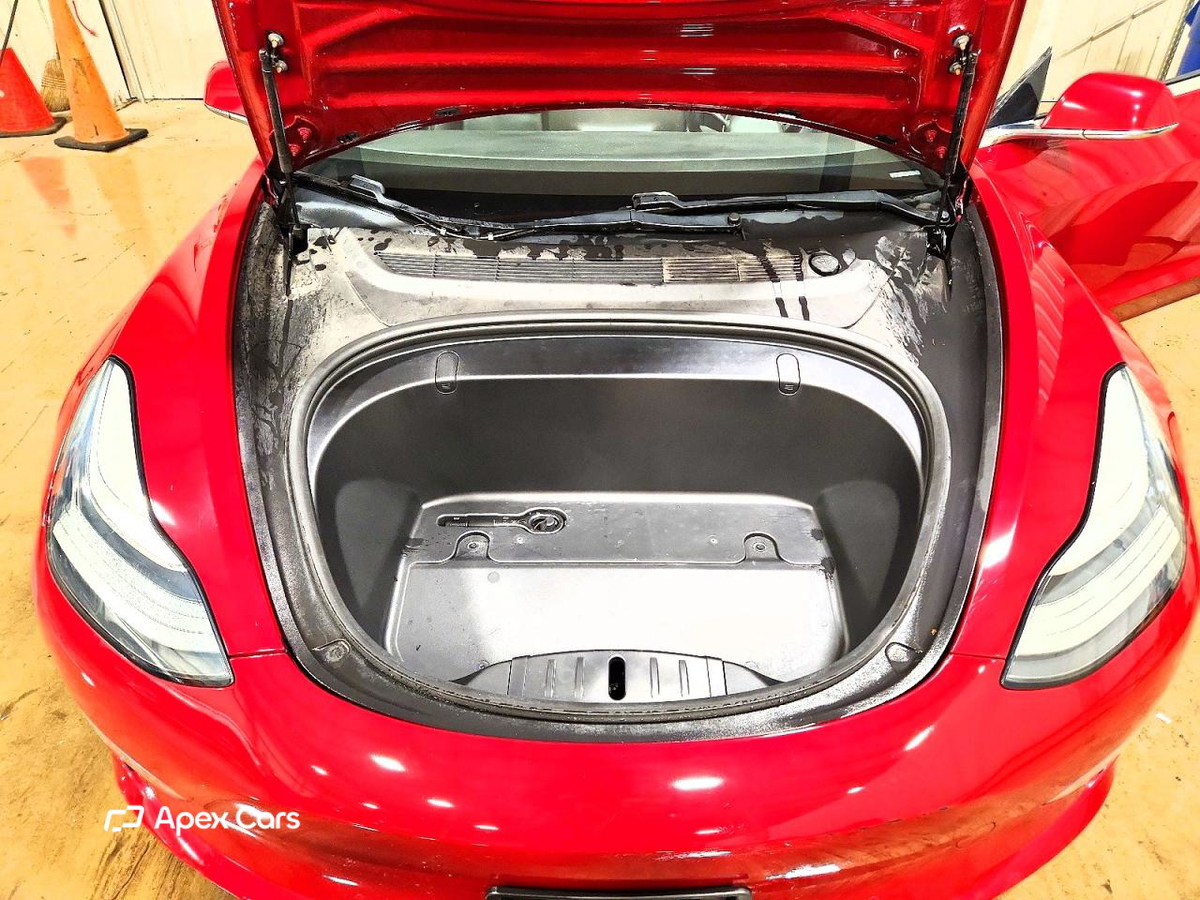Tesla Model 3 2019
