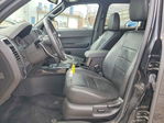Ford Escape 2011