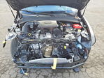 Dodge Hornet 2025