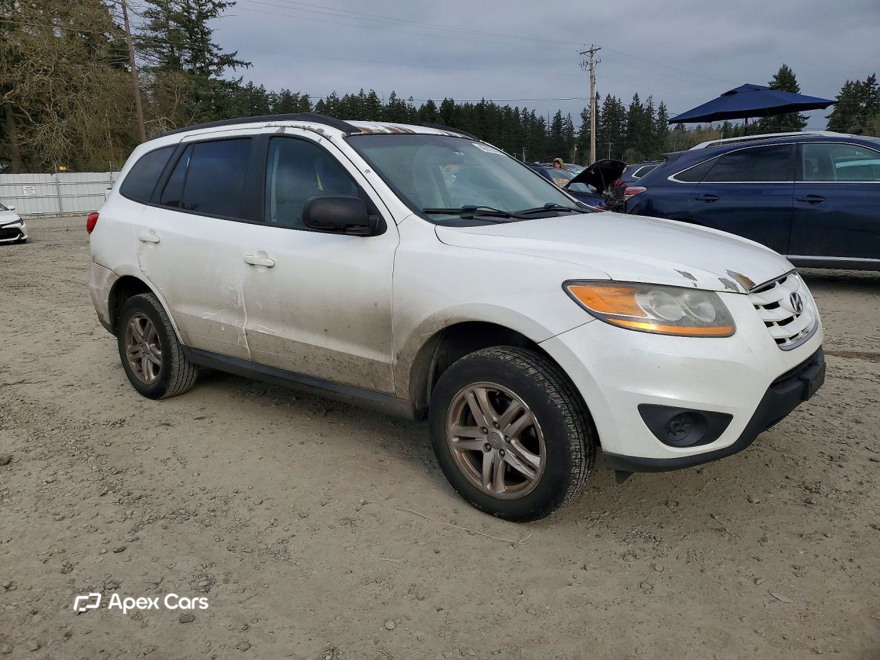 Hyundai Santa Fe 2010