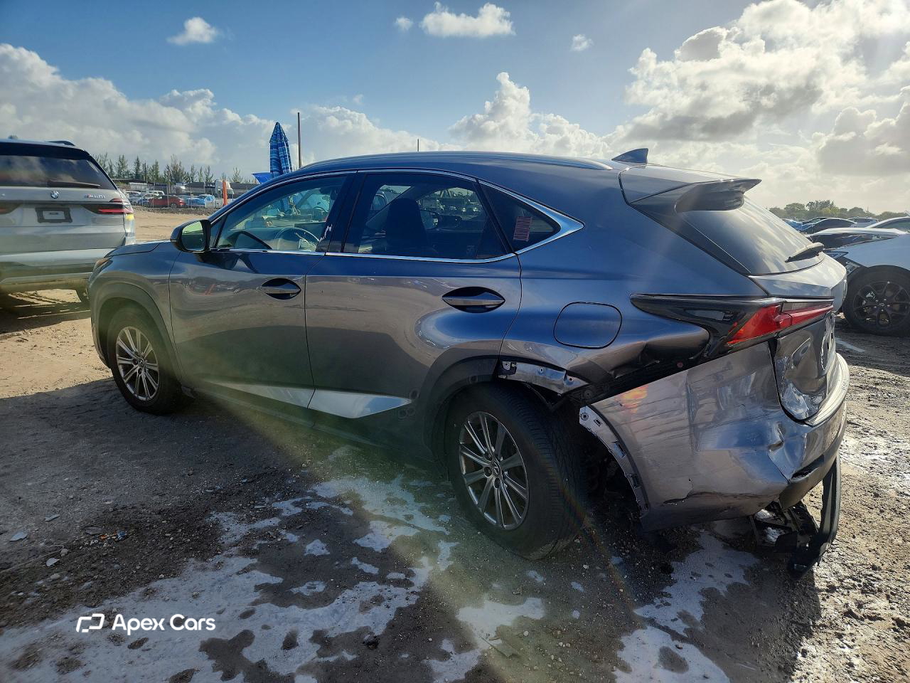 Lexus NX 2020