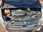 Ford Escape 2014