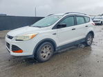 Ford Escape 2015