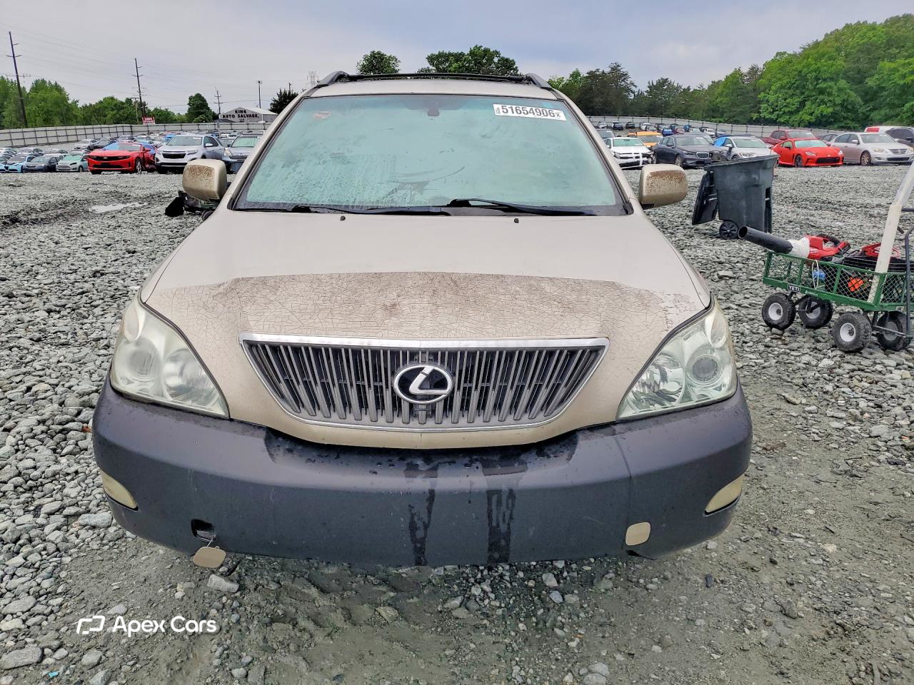 Lexus RX 2006