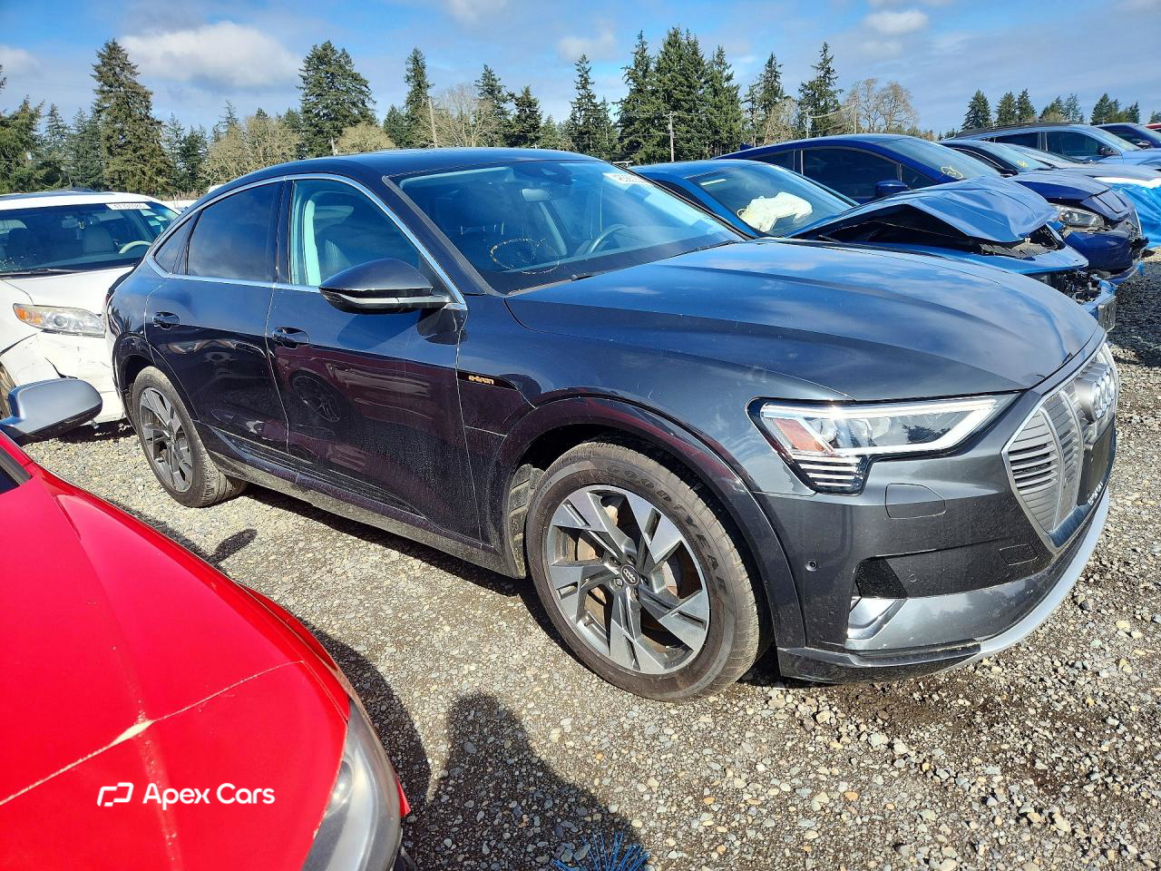 Audi e-tron 2020