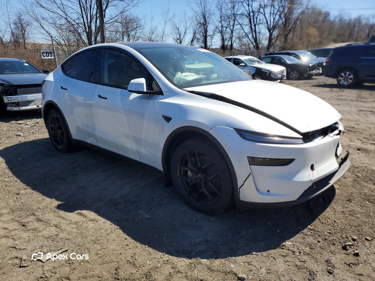 Tesla Model Y 2026