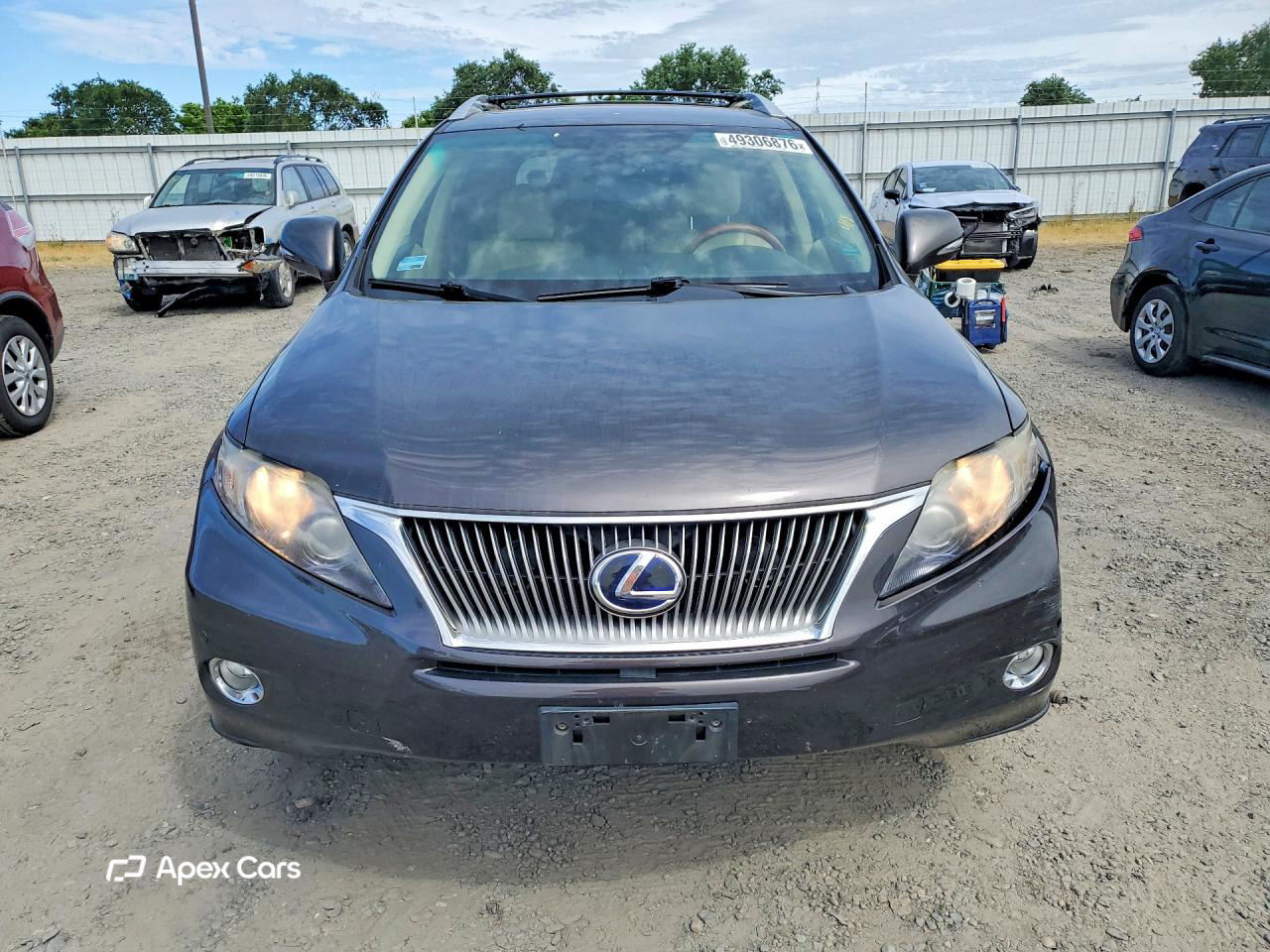 Lexus RX 2010