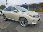 Lexus RX 2014