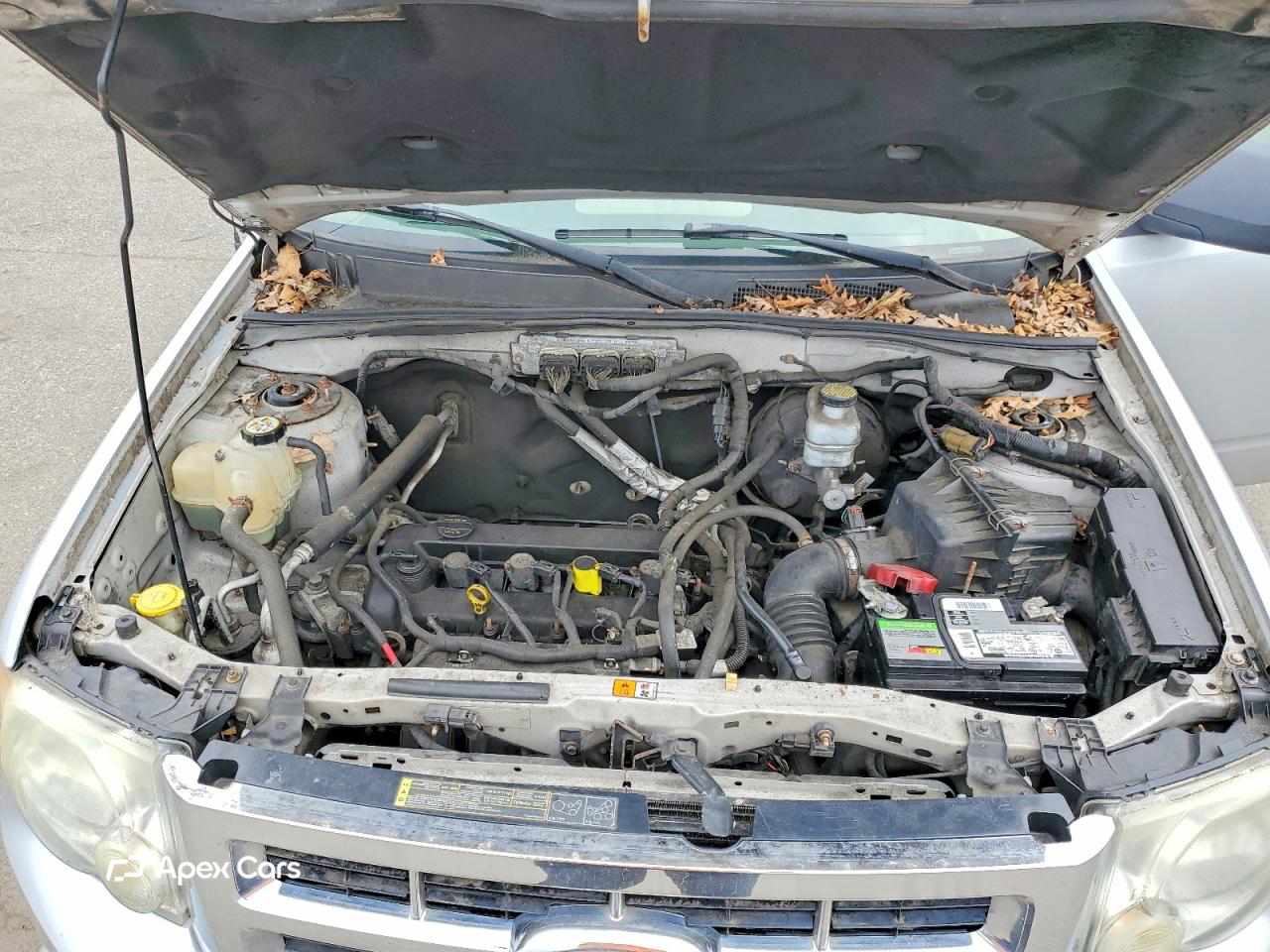 Ford Escape 2010