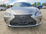 Lexus ES 2020