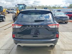 Ford Escape 2020