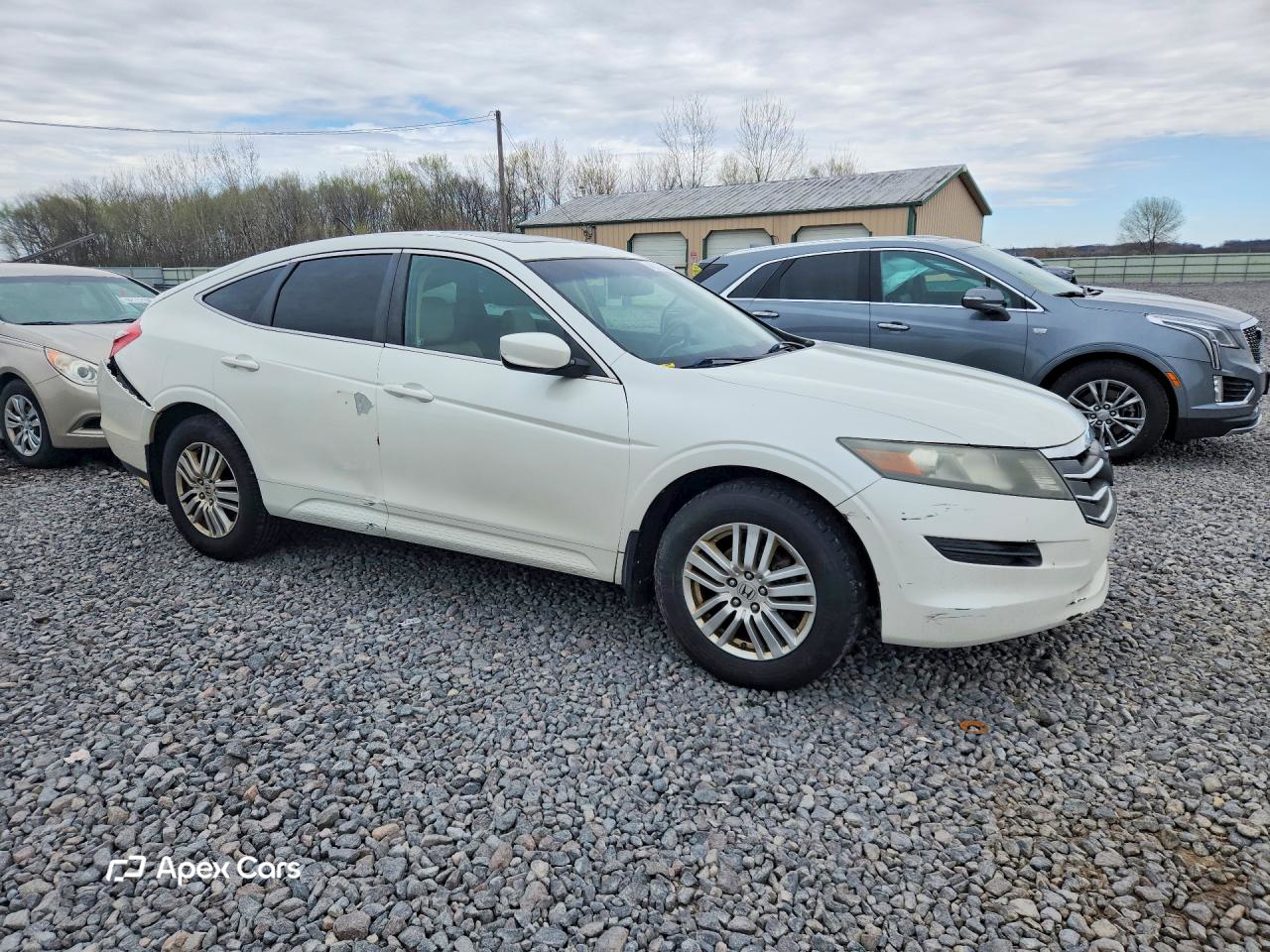 Honda Crosstour 2012