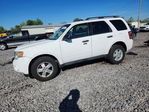 Ford Escape 2011