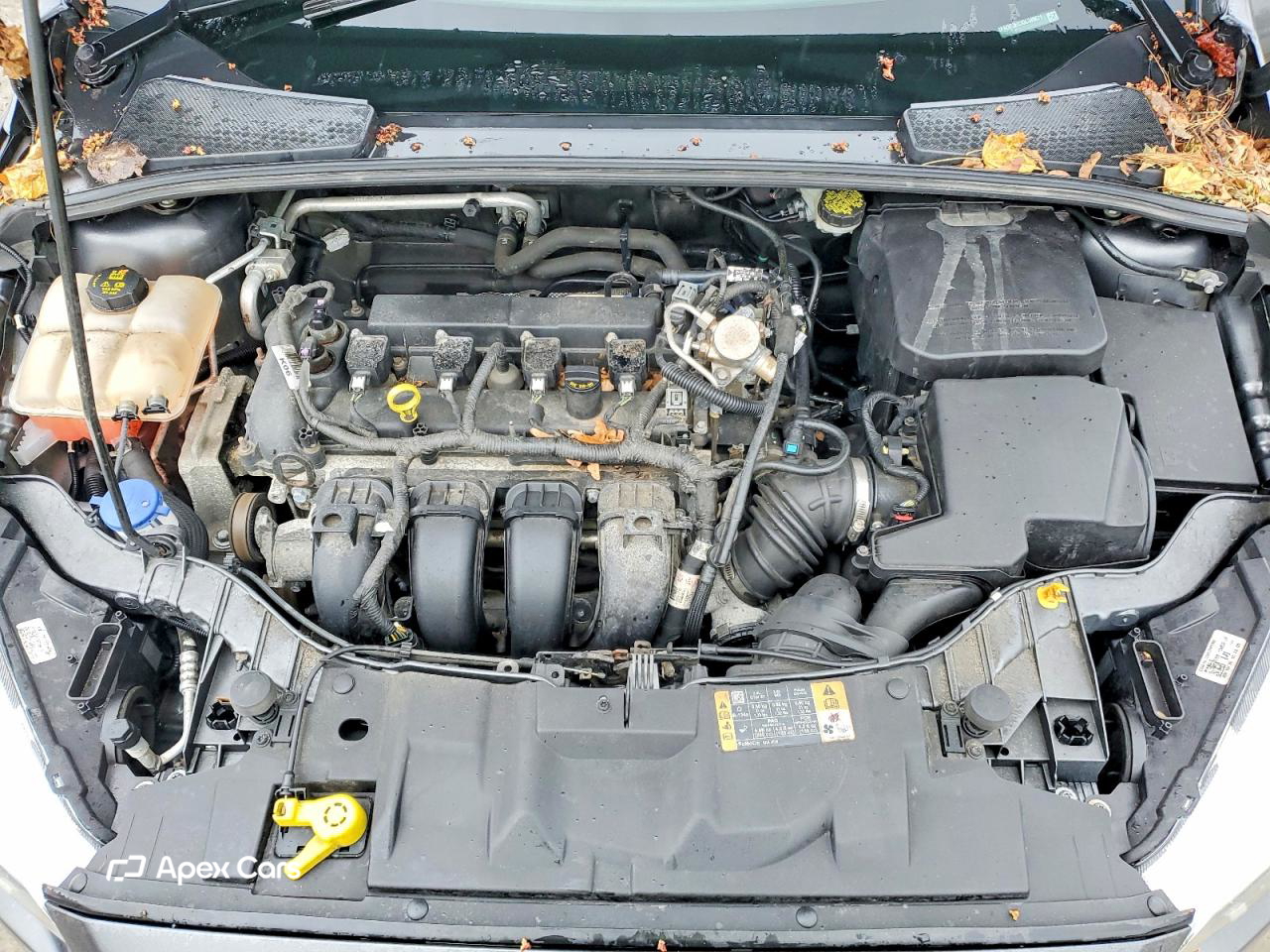 Ford Focus 2016