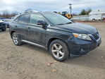 Lexus RX 2010