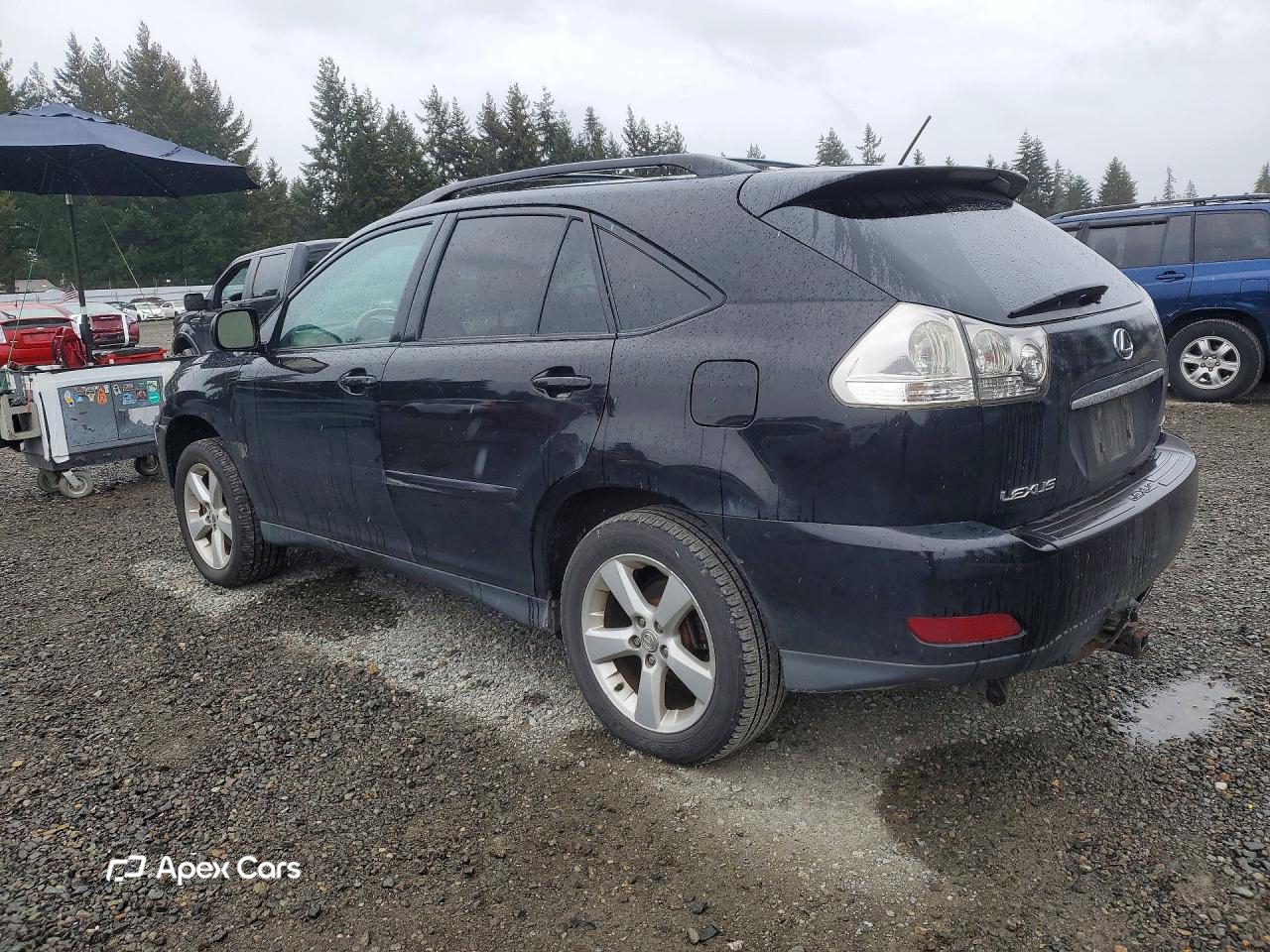 Lexus RX 2006
