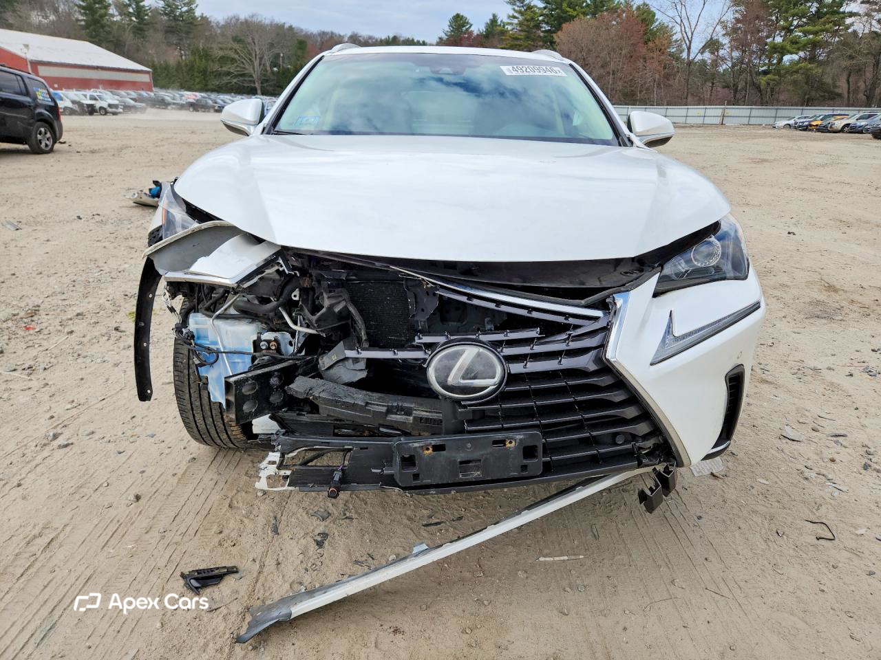 Lexus NX 2018
