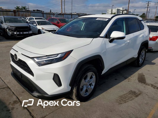 2025 Toyota RAV 4 - Zdjęcie 1 z 13