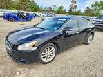 Nissan Maxima 2011