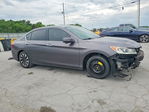 Honda Accord 2017