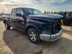 Dodge RAM 2010