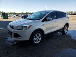 Ford Escape 2015