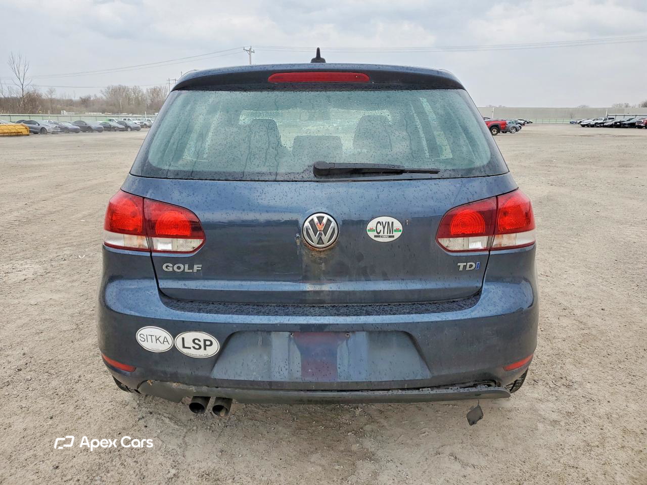 Volkswagen Golf 2013