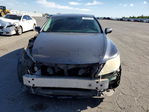 Lexus LS 2007