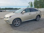 Lexus RX 2013