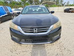 Honda Accord 2013